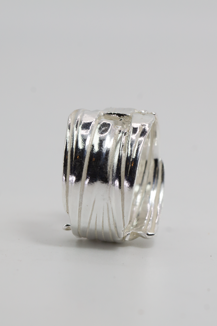 Anillo Corteza II